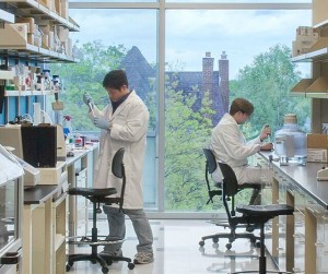 BioGenerator