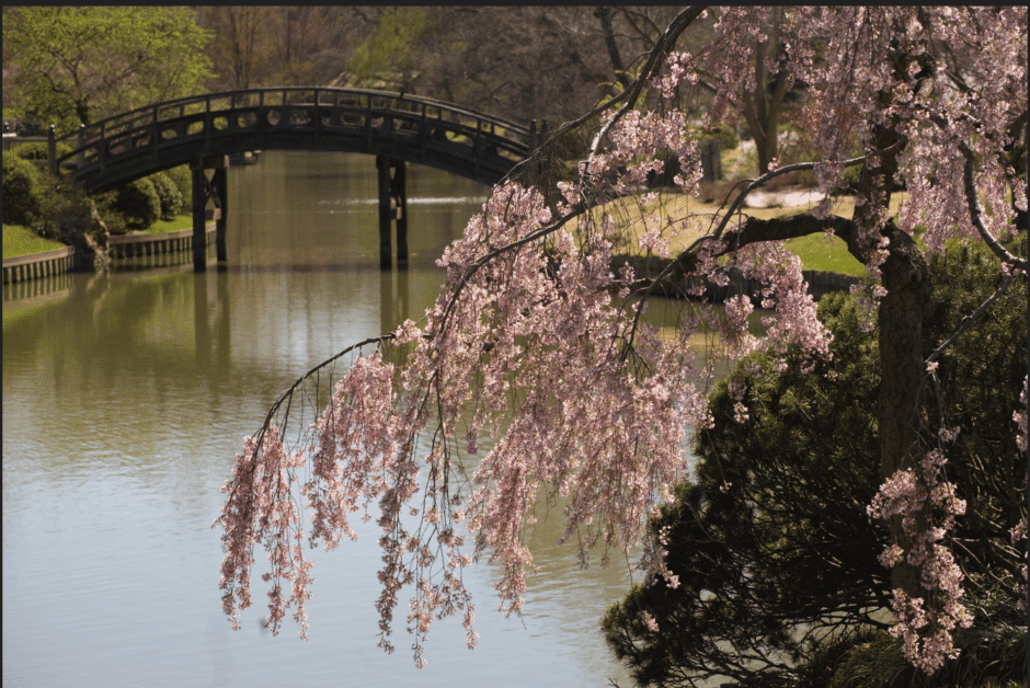 The research and conservation arms of the Missouri Botanical Garden perform good work that matters to the whole world. It is often under-appreciated how they build intellectual capital in the St. Louis metro area, providing a more fertile environment from which other organizations and commercial enterprises, including startups, sometimes germinate and sprout.